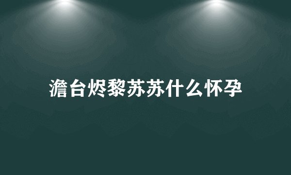 澹台烬黎苏苏什么怀孕
