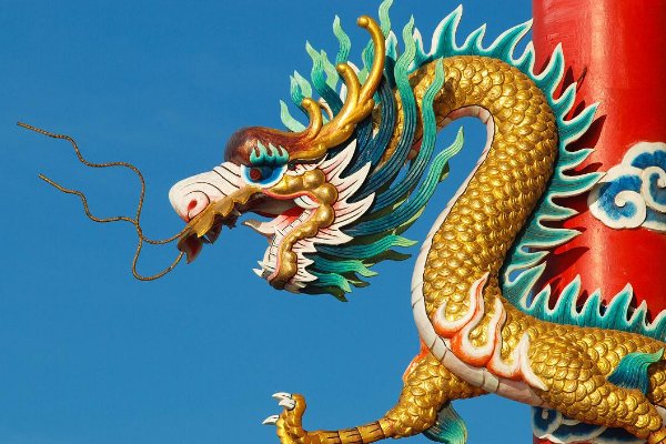 天上龙肉指的是什么