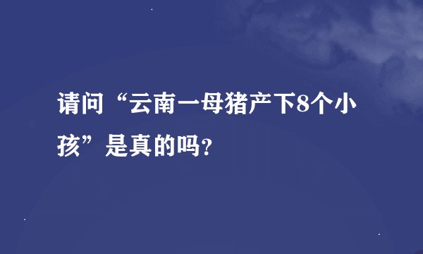 请问“云南一母猪产下8个小孩”是真的吗？