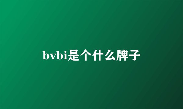 bvbi是个什么牌子