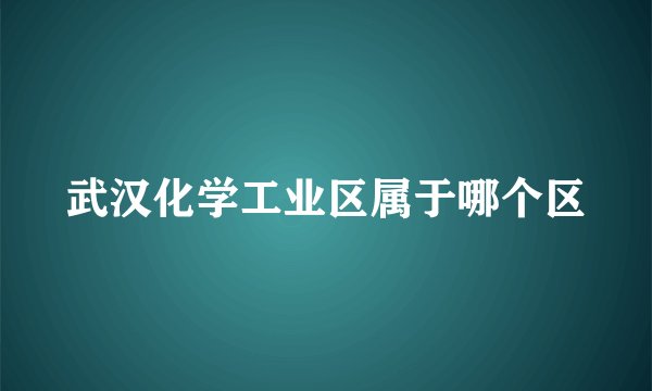 武汉化学工业区属于哪个区