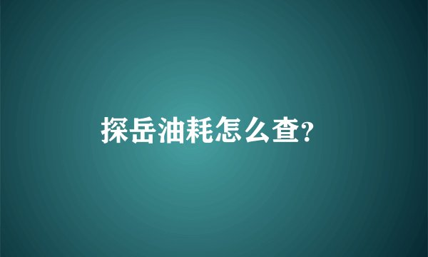 探岳油耗怎么查？