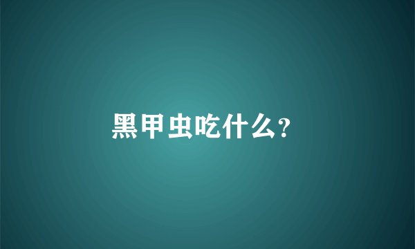 黑甲虫吃什么？