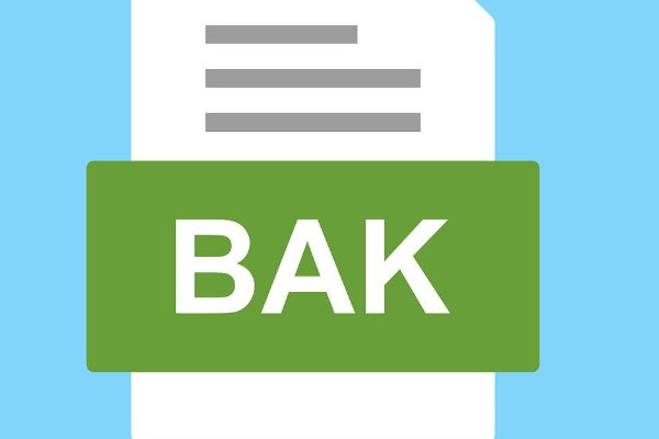 bak文件是什么
