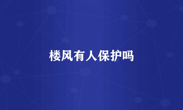 楼风有人保护吗