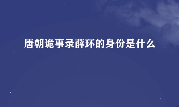 唐朝诡事录薛环的身份是什么