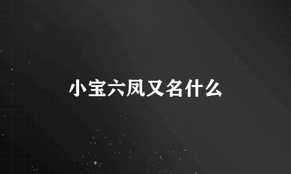 小宝六凤又名什么