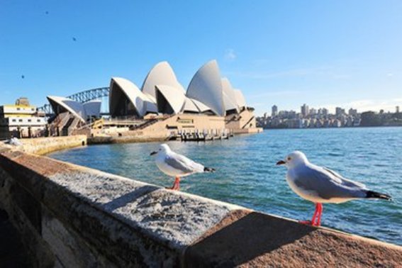 澳洲是哪个国家