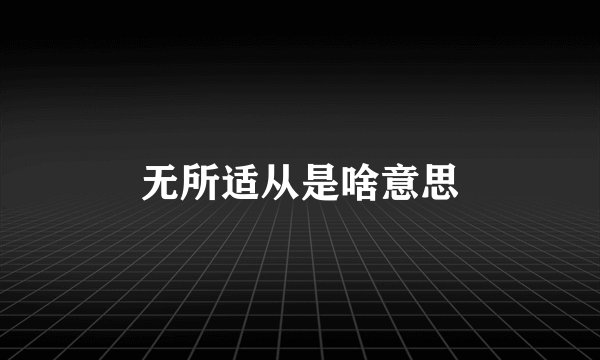 无所适从是啥意思