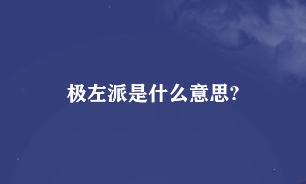 极左派是什么意思?