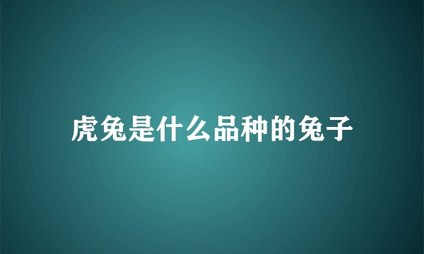 虎兔是什么品种的兔子