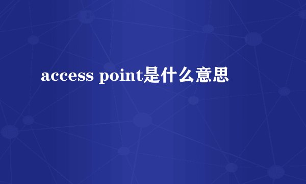 access point是什么意思