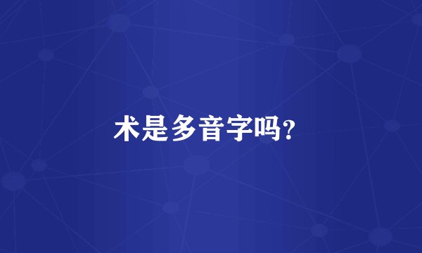 术是多音字吗？