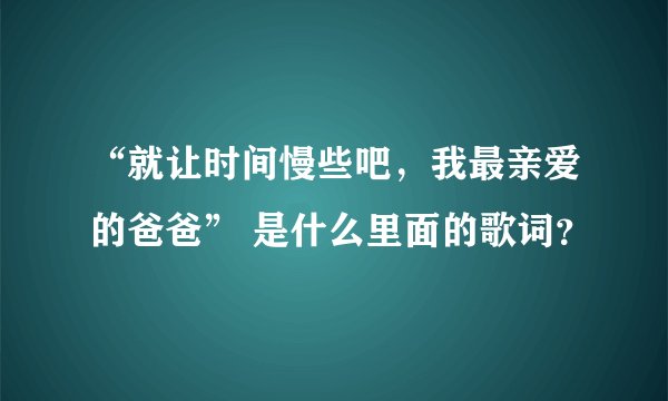 “就让时间慢些吧，我最亲爱的爸爸” 是什么里面的歌词？
