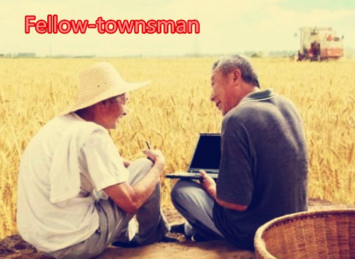 “老乡”用英语怎么表达?