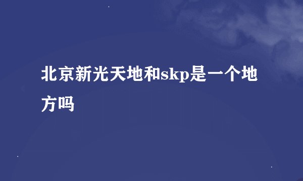 北京新光天地和skp是一个地方吗