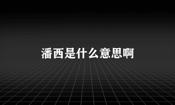 潘西是什么意思啊