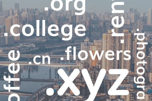 网址的格式是什么？