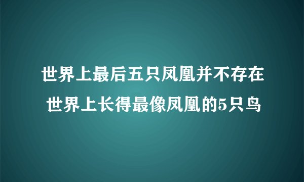 世界上最后五只凤凰并不存在 世界上长得最像凤凰的5只鸟