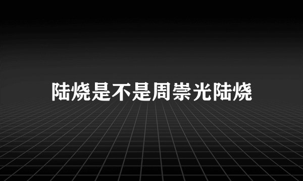 陆烧是不是周崇光陆烧