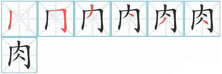 肉字的笔顺