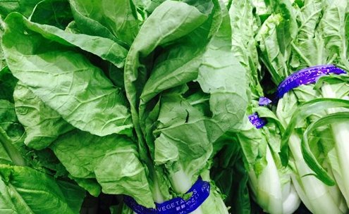 含盐量高的蔬菜