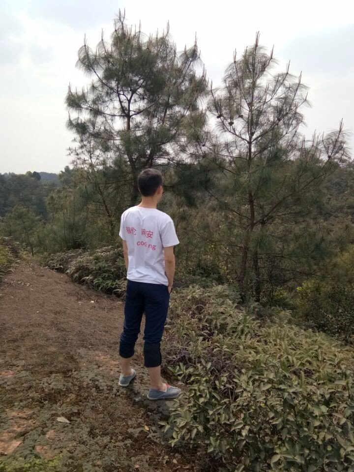 骇伦是网络红人？他凭什么可以称之为网络红人？