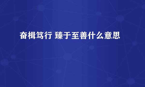 奋楫笃行 臻于至善什么意思