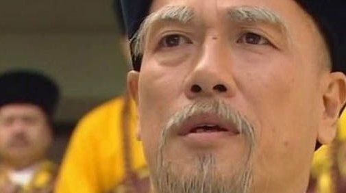 带头大哥是段正淳吗