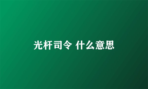 光杆司令 什么意思