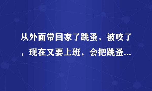 从外面带回家了跳蚤，被咬了，现在又要上班，会把跳蚤带到上班的地方吗？如果办公室的人都被咬了就成千古