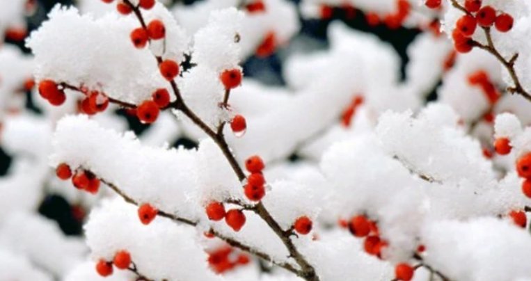 古人三冬是哪三冬？