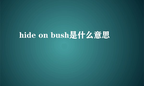 hide on bush是什么意思