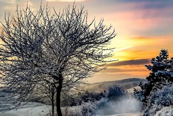 学到汇平台是什么？