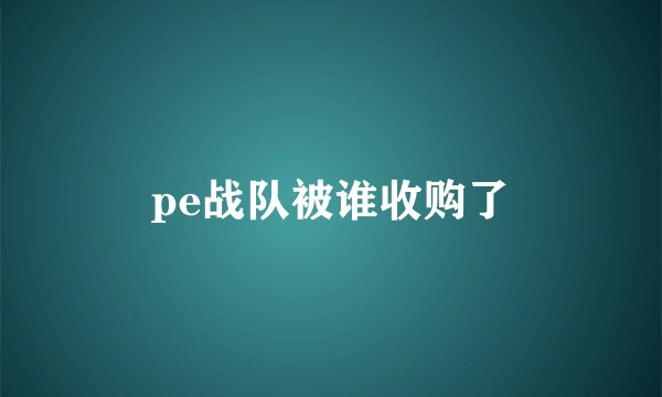 pe战队被谁收购了