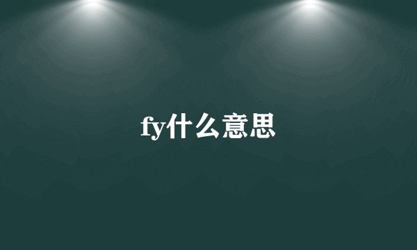fy什么意思
