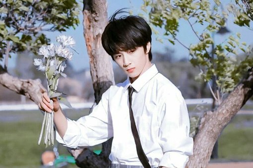 饭圈的wpp和wnp是什么意思?