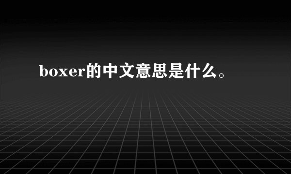 boxer的中文意思是什么。