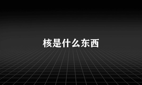 核是什么东西