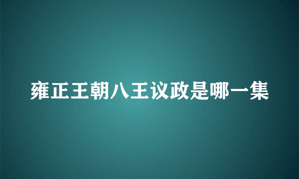 雍正王朝八王议政是哪一集