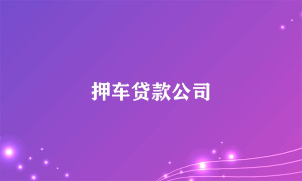 押车贷款公司