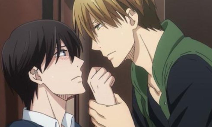 乐可公交车的内容是什么啊？