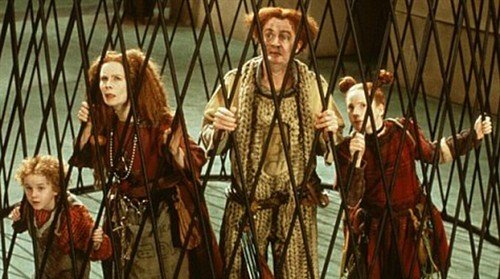 寄居大侠的介绍