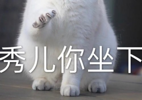 秀儿是什么意思