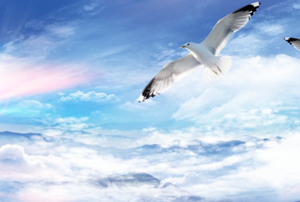 力学笃行履践致远意思