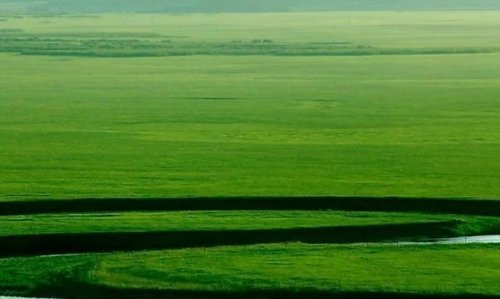 中国四大草原是哪4个