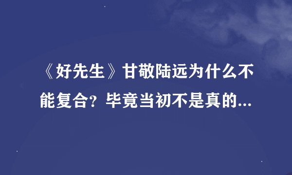 《好先生》甘敬陆远为什么不能复合？毕竟当初不是真的分手，而且还彼此相爱。