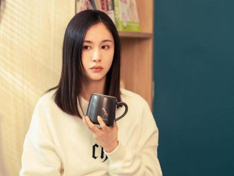 王子文演过的电视剧