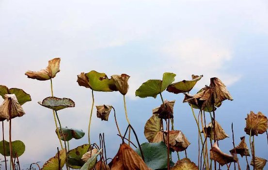 无声无息的意思