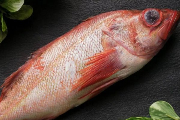 海红斑是什么鱼?